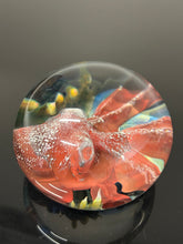Nodule #258 “Big Red Lens “