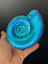 Aqua Aural Ammonite