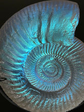 Opal Ammonite