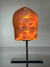 Warm Glow Ammonite Buddha