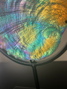 Cosmic Abalone “Large with stand”