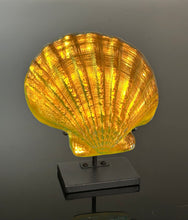 Sunset Scallop
