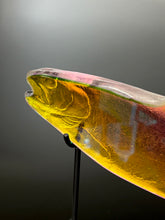 Aural Rainbow Trout