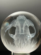 Nodule #335 “Infinite Cat Skull”
