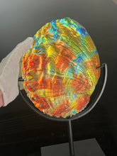 Cosmic Abalone “Large with stand”