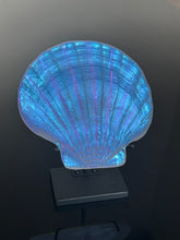 Golden Purple Scallop