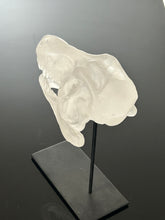 “Surthrival”