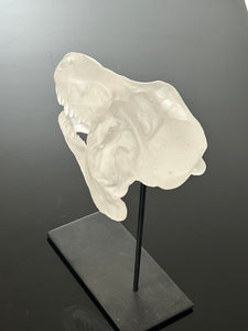“Surthrival”