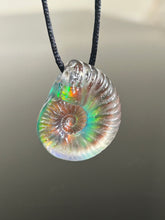 Root beer Opal Ammonite