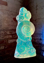 Aural Ammonite Sculpture