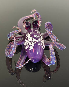Purple Berry Octopus