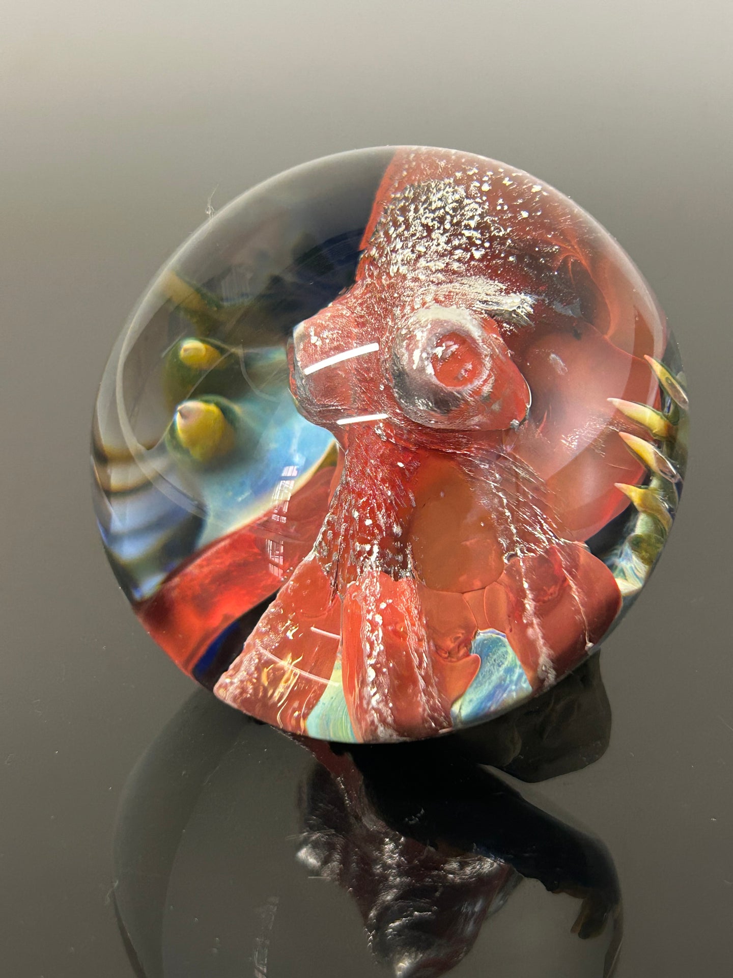 Nodule #258 “Big Red Lens “