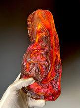 T-Rex Fossil “Lava”
