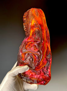 T-Rex Fossil “Lava”