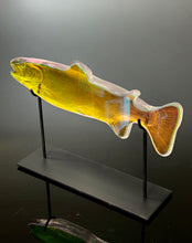 Aural Rainbow Trout