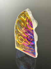 Chromatic Ammonites Sculpture