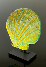 Sunset Scallop