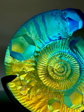 Geo Ammonite