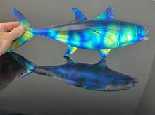 Bonita Tuna wall sculpture