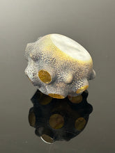 Nodule #338 “The after glow”