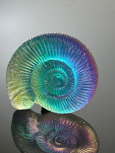 Chromatic Ammonite