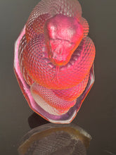 Hot Fire Rattle Snake “NEW!”