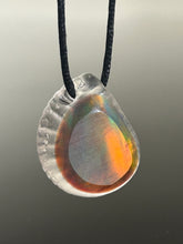Root beer Opal Ammonite