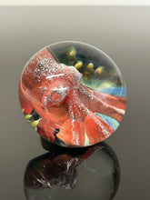 Nodule #258 “Big Red Lens “
