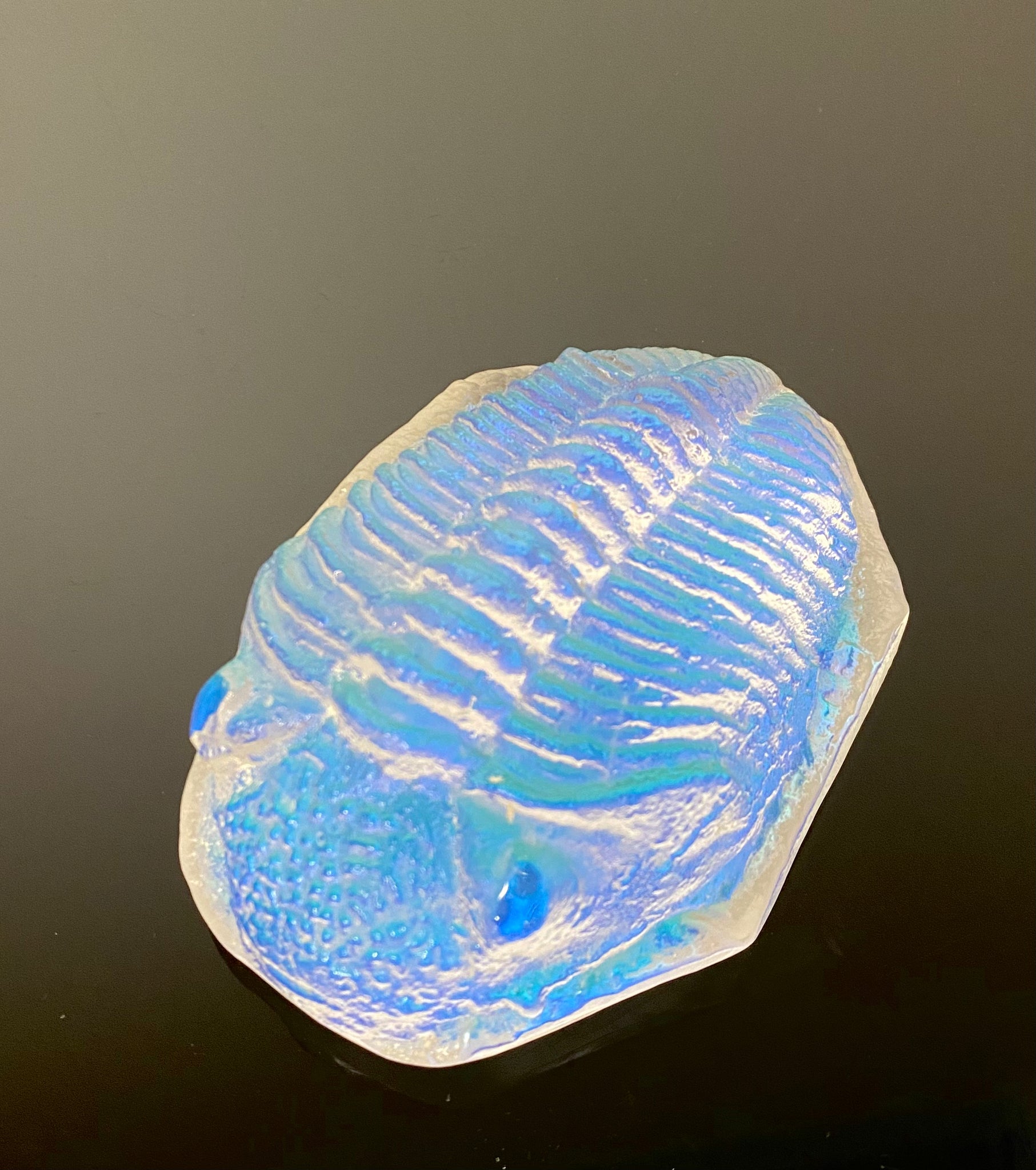 Aural Trilobite一点製作モノ Aural Trilobite一点製作モノ