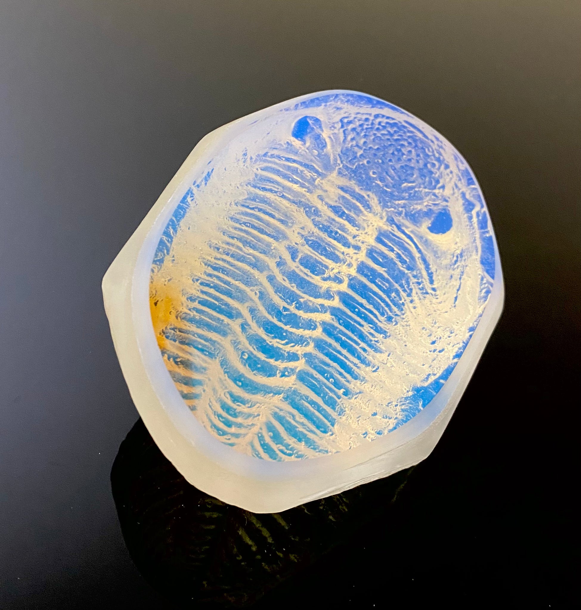 Aural Trilobite一点製作モノ Aural Trilobite一点製作モノ