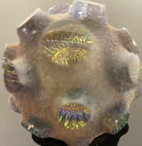 Mini Nodule #6 “Golden Ammonite “