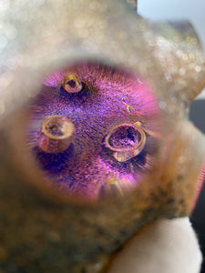 Nodule #24 “Protect the light”