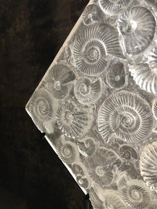Cast Glass Ammonite Panel (Sculpture)