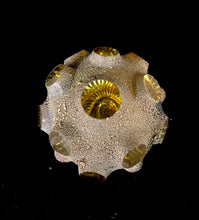 Nodule #91 “Golden Ammonite”