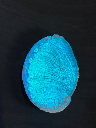 Spectral Abalone “New Year Sale”