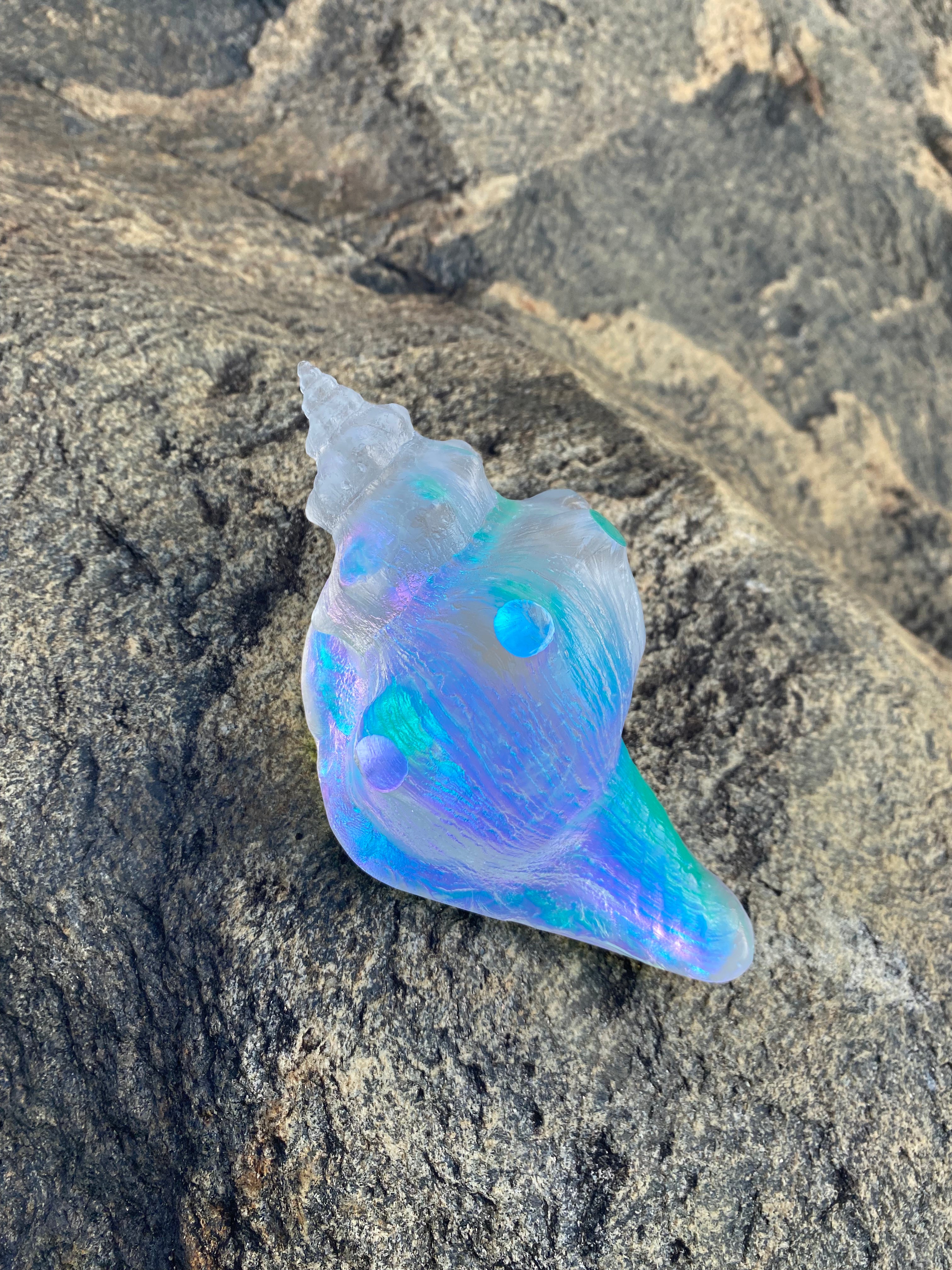 Sea life – Shop J Sinkus Glass