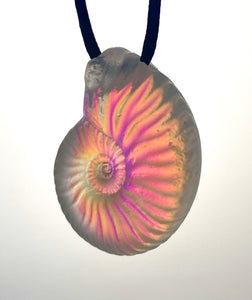Aural Ammonite pendant