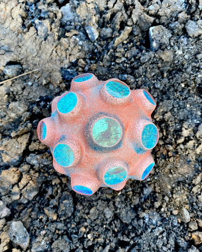 Nodule #36 (coral polyp has an idea)