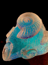 Spectral Ammonite Stone