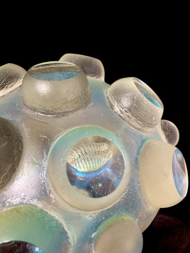 Nodule #38 (three low bites)sale!