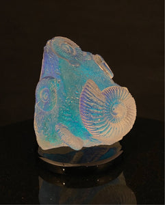 Spectral Ammonite Stone