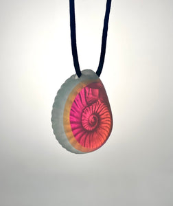 Aural Ammonite pendant